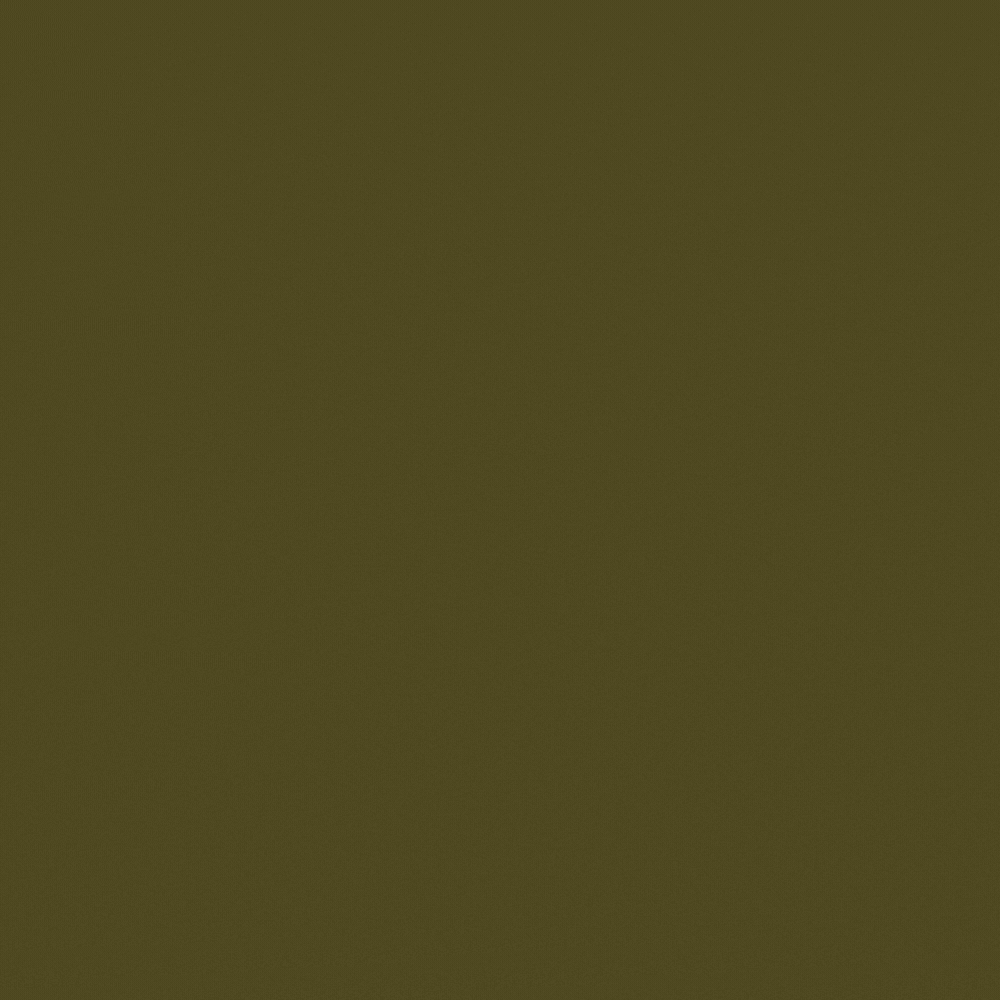 animated logo-CASA.gif